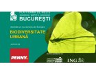 Platforma de mediu pentru București a lansat un nou domeniu de finanțare, „Biodiversitate urbană”, cu sprijinul PENNY | REWE România