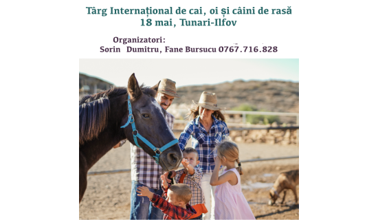 Targul International de Cai, Oi si Caini de Rasa in Tunari: O Zi de Poveste in Lumea Animalelor