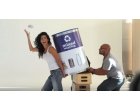 500 de companii pentru plantarea unui milion de copaci; Campanie live-streaming outdoor despre reciclarea corecta; uBid.com a lansat uBiduGive.com pentru ONG-uri