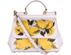 Genti dama Dolce & Gabbana – lux si calitate pe Gentuim