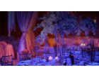 5 lucruri de care trebuie sa ti cont atunci cand alegi un ballroom in Bucuresti