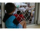 In Romania sunt peste 40.000 de copii abandonati. Cum gestioneaza autoritatile aceasta situatie?!