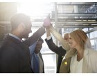 Rezultate financiare solide în Q4 și pe întreg anul 2016 raportate de Asseco South Eastern Europe