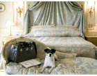 Pentru toti iubitorii de animale, Perfect Tour creeaza departamentul special "PET FRIENDLY".