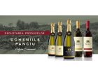 INCEPE TARGUL DE VINURI GOODWINE DE PRIMAVARA. CELE MAI BUNE VINURI LA DEGUSTARE
