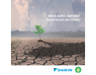 Daikin Romania are grija de calitatea aerului interior si exterior prin campania de responsabilitate sociala „Plantam Aer”