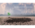 Daikin a depasit obiectivul campaniei „Plantam Aer” si  planteaza 13.000 de copaci in data de 18 noiembrie