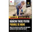 Peste 1.000 de copii iau parte la actiunea de plantare „Radacini tinere pentru padurile de maine” 10.000 de puieti vor fi plantati