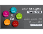 Curs Lean Six Sigma Black Belt