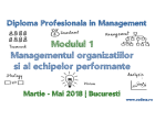 Managementul Organizatiilor si al Echipelor Performante | CODECS