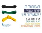 Certificare Lean Six Sigma  | CODECS