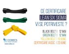 Certificare Lean Six Sigma | CODECS