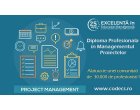 Diploma Profesionala in Managementul Proiectelor | CODECS