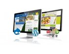 Cum alegem o firma pentru creare website?