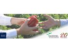 Agrosel SRL isi gestioneaza activitatea cu MS Dynamics NAV 2018