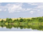 Weekend perfect in mijlocul naturii la Padurea Cernica – gratar, distractie si aer liber!