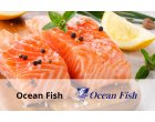 Ocean Fish proceseaza 12 tone pe zi cu solutia WMS de la Senior Software