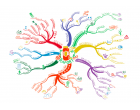 Beneficiile folosirii Hărților Mentale (MindMapping) în afaceri. PUNCT DE VEDERE