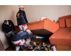 Servicii DDD executate cu o firma autorizata din domeniu