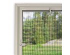 Plase insecte- experienta certificata
