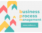 Business Process Management | Curs Practic