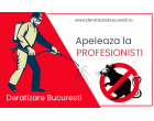 Scapa de rozatoarele daunatoare cu o deratizare eficienta!