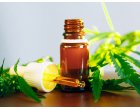 Pentru ce este recomandat consumul de ulei CBD?