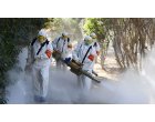 Necesitatea sicrielor de zinc