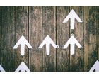 Venituri în creștere cu 26% în Q1 2020 pentru Grupul Asseco SEE