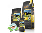 3 Lucruri simple care iti pot face cainele fericit: hrana, joaca, comunicare
