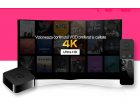 IPTV Romania Online, Canale Romanesti prin internet