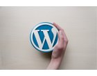 Este necesara intretinerea si mentenanta unui site web?