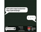Stop Cyberbullying, proiect co-finantat de Consiliul Judetean Timis