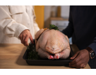 Rețetă tradițională românească - Ostropel de pui