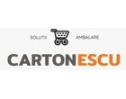 Cutii de carton clasice sau cutii cu autoformare