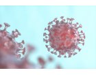 Testul rapid antigen este un indicator pentru a controla pandemia