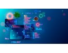 Bazele din spatele teoriei culorilor pentru Web Designer