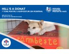 Campania #MisiuneaNoastraPrietenPeViata inițiată de Hill’s Pet Nutrition pentru susținerea adăposturilor de animale din România s-a încheiat