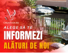 Amenajare iaz de gradină.