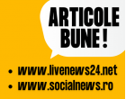 Unele firme de avocatură au crescut în ultimii trei ani, altele nu - iată de ce