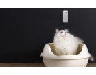 Cum sa-ti mentii casa frumos mirositoare daca ai animale de companie