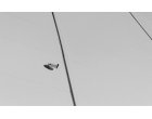 Sfaturi simple pentru a detecta camerele spion
