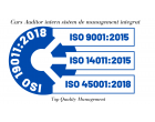 Curs Auditor intern sistem de management integrat ISO 9001, ISO 14001, ISO 45001