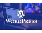 Sunt site-urile WordPress bune pentru afaceri noi?