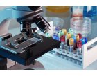 Analizele de Markeri Tumorali la Laboratorul Synlab: Importanta Detectarii Precoce a Cancerului
