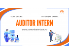 Auditor Intern - Curs online autorizat