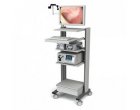 Explorand Corpul Uman in Detaliu: Endoscopia