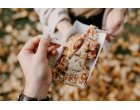 Delicii dulci de sezon la Plaza Romania