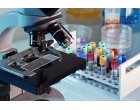 Importanta Analizelor Hormonale: O Privire Detaliata asupra Monitorizarii Sanatatii Hormonale