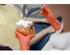 Cat este de important tratamentul endodontic in mentinerea sanatatii dentare